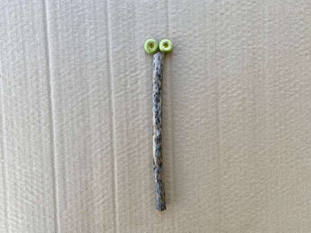 Butterfly made of natural material, DIY for children.の写真素材