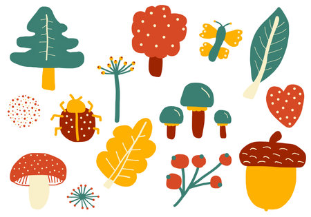 Forest Friends Flourish During Peaceful Autumn Days Beautiful Botanical Elements Represent Natureâs Bounty Ð±ÐµÐ· Ð½Ð°Ð·Ð²Ð°Ð½Ð¸Ñ - 1の写真素材