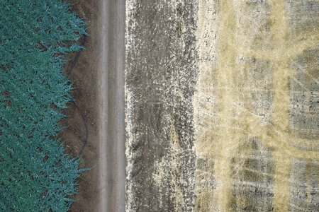 Aerial landscape with rural fields at hot summer