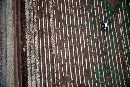 Aerial landscape with rural fields at hot summerの写真素材