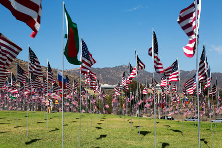Many American flags in windy weatherの写真素材