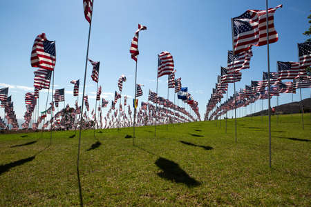 Many American flags in windy weatherの写真素材