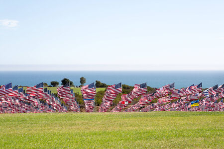 Many American flags in windy weatherの写真素材