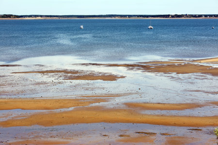 Bay water and grass in Welfleet, Cape Codの写真素材