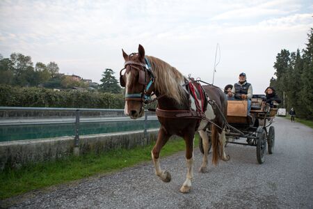 Horse and carriage in Italian town Borghettoのeditorial素材