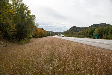 Road in New Hampshire and the forest at fall timeの写真素材