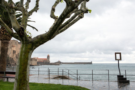 Collioure city and the bay in France