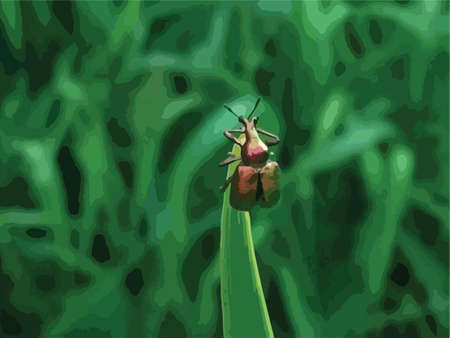 Golden beetle on the grass in the meadow vector illustrationのイラスト素材