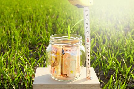 Growth in financial savings. The accumulation of money capital. Euro sproutの写真素材