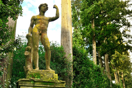 Garden Guardianの写真素材