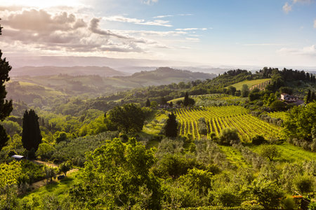 Sunny valleys of Tuscany regionの写真素材