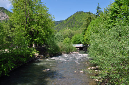 Mountain river and mountains in Borjomi, Georgia