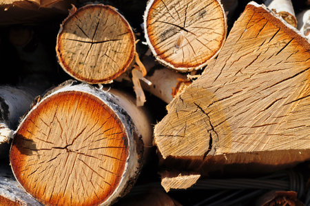 Birch firewood. Countryside in Siberia, Russia
