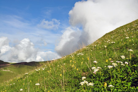 Armenia, Syunik Province. Mountainside in the spring time.