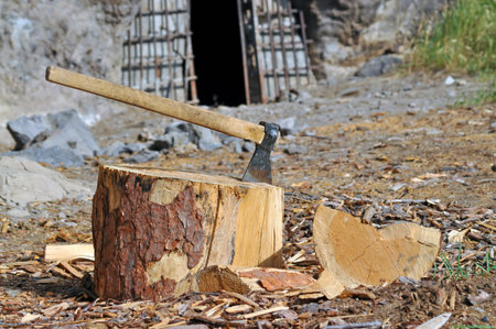 The ax in the pine log. Georgia