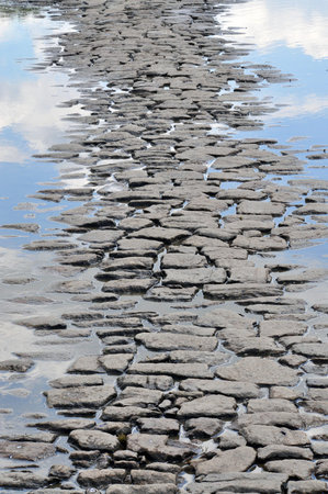 Pathway from pavers among the reflection of clouds in a puddle