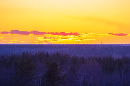 landscape sunset over the foggy forest gradient colorの写真素材