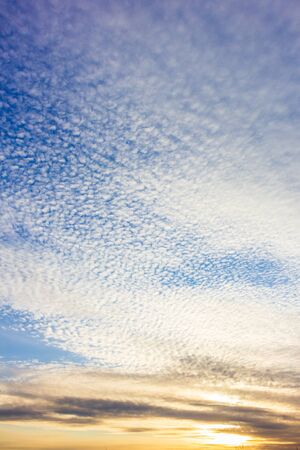 texture sky clouds sunset light cloudscape horizon fluffyの写真素材