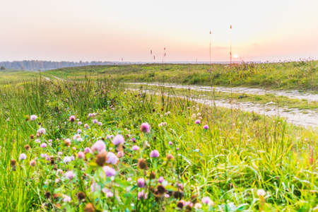 country road going into the sunset way agricultural sunriseの写真素材