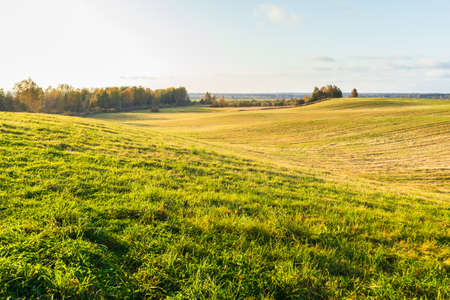 hilly landscape field agriculture nature farmland country view springtimeの写真素材