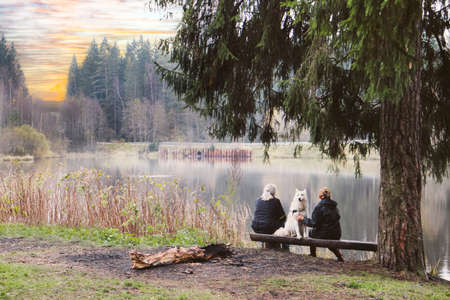 couple with a dog at sunset in the woods near a foggy lake loveの写真素材