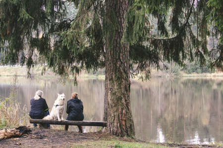 couple with a dog at sunset in the woods near a foggy lake loveの写真素材