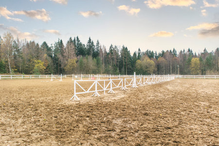 Hippodrome for English riding show jumping horse training sand barrier jockey