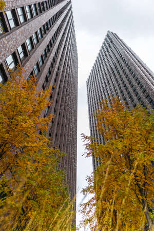 gray skyscrapers among green spaces and trees modern eco yard .concept jungle among cityの写真素材