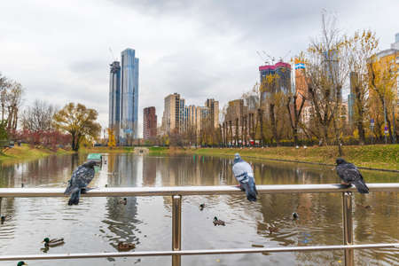 city modern architecture park with a lake urban natureの写真素材