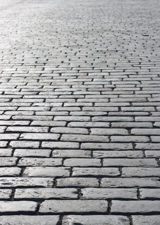 The area paved by stones. Cobblestone. Way.