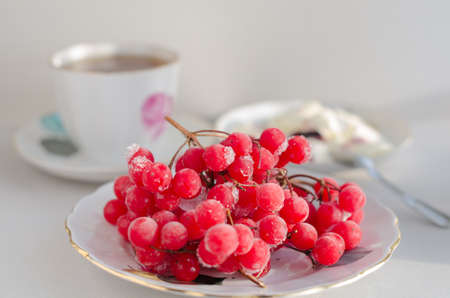 Cup of tea and fresh berriesの写真素材