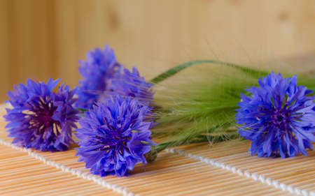 cornflowersの写真素材