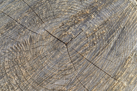 wooden texture
