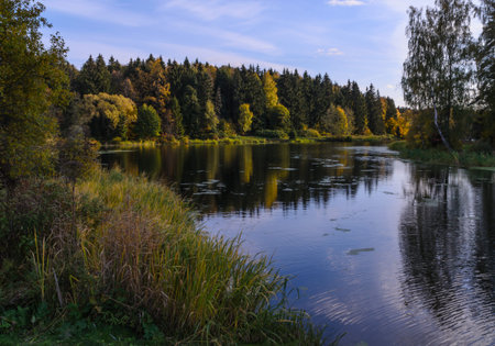 autumn lakeの写真素材