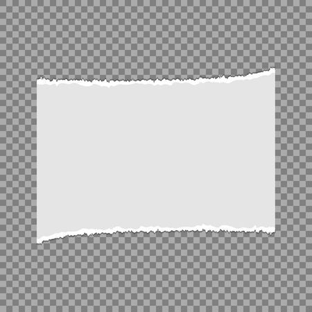 Pieces of torn paper on a transparent background. Vector illustration for your design. Eps 10.のイラスト素材