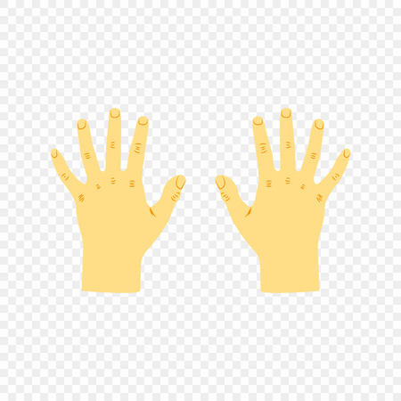 Part of the human body, the hands of a pair of open views from above. Vector contours of the wrist left and right with fingers open, design elements on an isolated transparent background. Eps.のイラスト素材