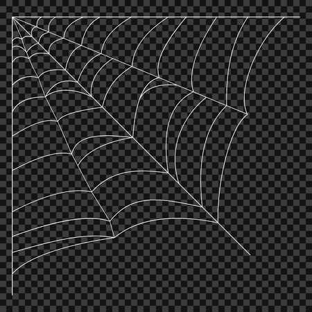 Cobweb. Vector spider web. Design elements on an isolated transparent background. Eps.のイラスト素材