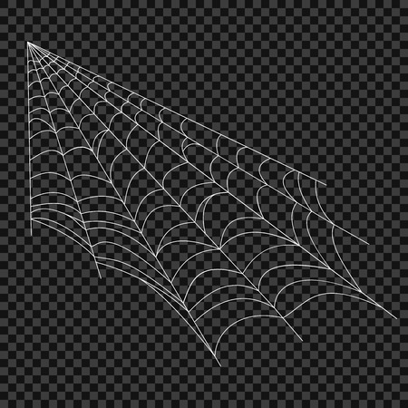 Cobweb. Vector spider web. Design elements on an isolated transparent background. Eps.のイラスト素材