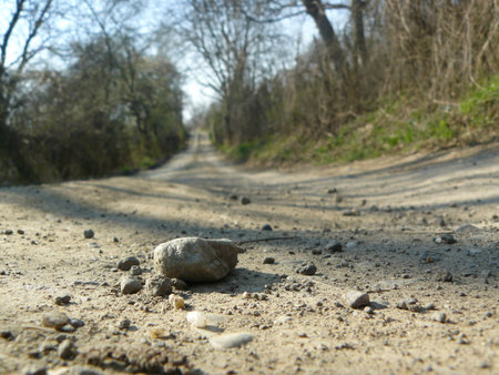 spring roadの写真素材