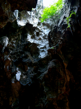 The endの写真素材