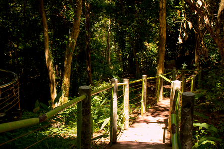 My pathの写真素材