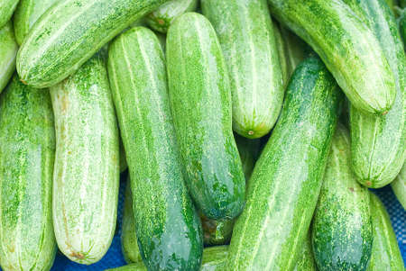 heap of cucumbers selling in marketの写真素材