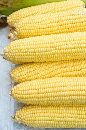 heap of raw uncooked sweet corn selling in marketの写真素材