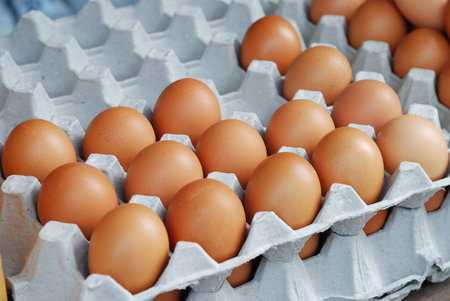 close up some fresh eggs in box carton