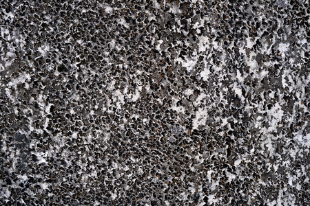 Dirty Dry Moss on white wall, abstract backgroundの写真素材