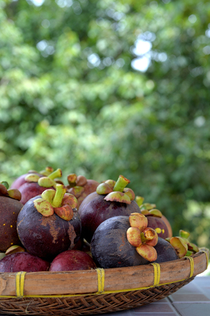Mangosteen, the queen of fruits, Delicious mangosteen fruit arranged on a basket の写真素材