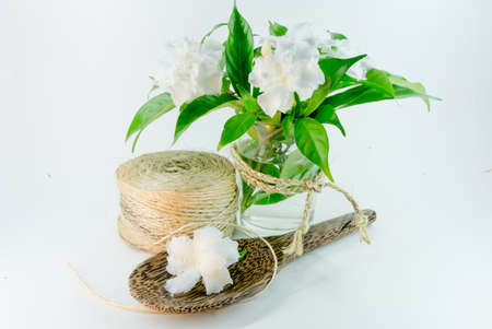 White flowers of jasmineの写真素材