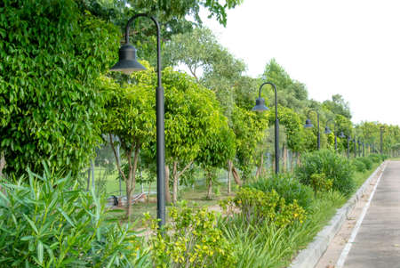 gardenの写真素材