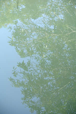 Reflections in Waterの写真素材