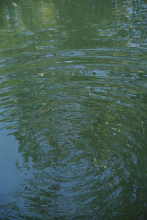 Reflections in Waterの写真素材